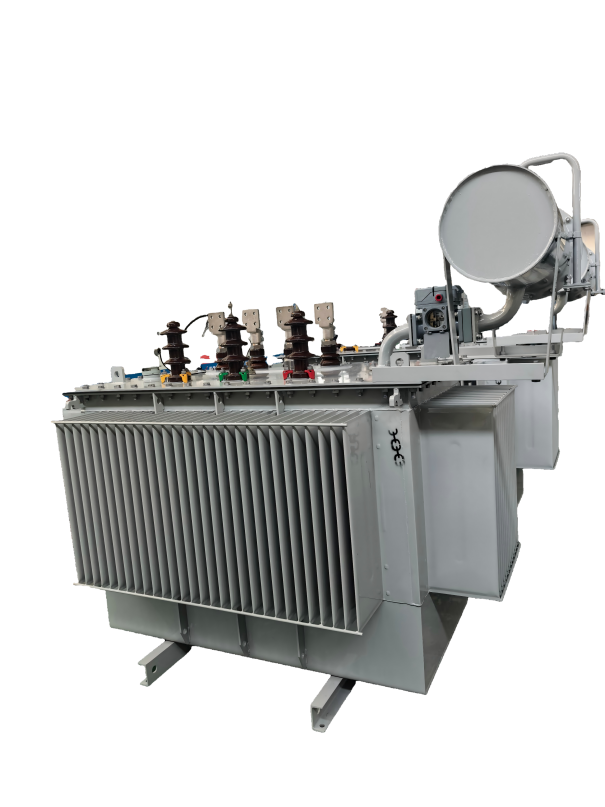محول توزيع مغمور بالزيت بقلب من سبيكة غير متبلورة S(B)H21-M-1600/10-NX2